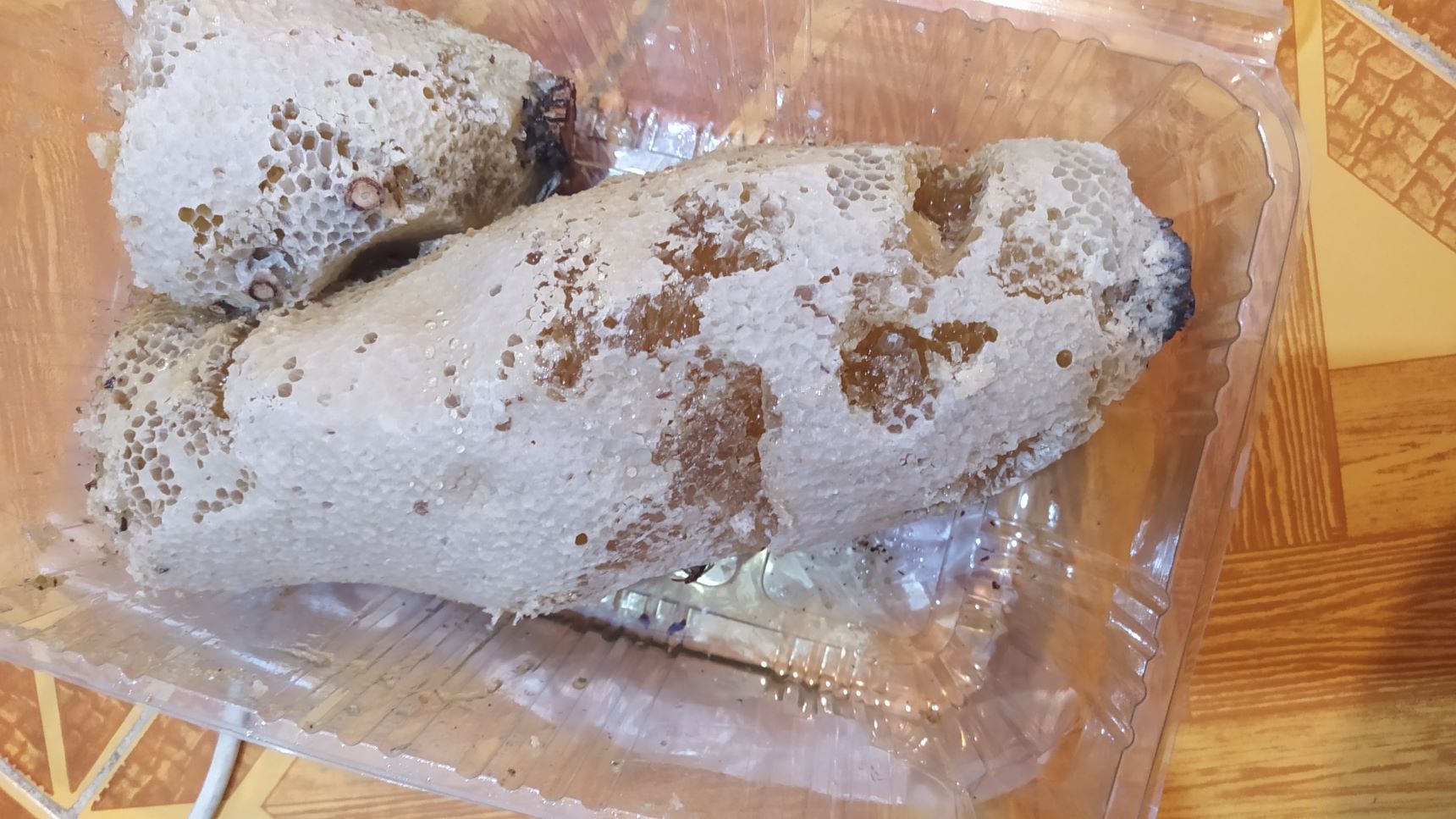 عسل وحشی 